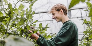 Agrotechnieken plant - Dubbele finaliteit