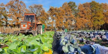 Plant en milieu arbeidsmarktgerichte finaliteit (duaal en niet-duaal)